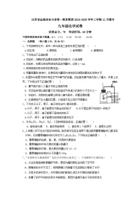 江苏省盐城市东台市第一教育联盟2024-2025学年九年级上学期11月期中联考化学试题