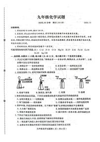 山东省潍坊市诸城市2024-2025学年九年级上学期11月期中考试化学试题