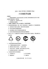山东省泰安市肥城市2024-2025学年八年级上学期11月期中考试化学试题