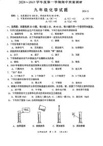 江苏省常州市武进区2024-2025学年九年级上学期期中质量调研化学试题