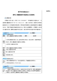 人教版（2024）九年级下册（2024）跨学科实践活动9 探究土壤酸碱性对植物生长的影响教案设计
