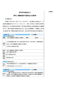人教版（2024）九年级下册（2024）跨学科实践活动9 探究土壤酸碱性对植物生长的影响教案设计