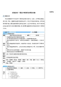 人教版（2024）九年级下册（2024）第九单元 溶液实验活动7 粗盐中难溶性杂质的去除教案