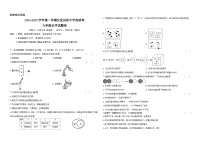 江西省新余市分宜县初级中学校联考2024-2025学年九年级上学期期中化学试卷