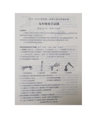 山东省禹城市2024-2025学年九年级上学期期中考试化学试题
