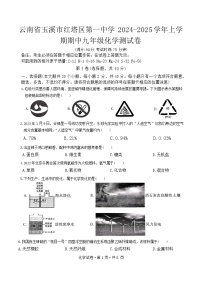 云南省玉溪红塔区大营街第一中学2024-2025学年九年级上学期11月期中考试化学试题
