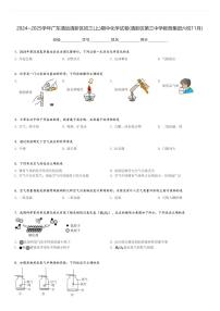 2024～2025学年广东清远清新区初三(上)期中化学试卷(清新区第三中学教育集团六校11月)[原题+解析]