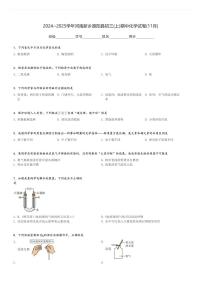 2024～2025学年河南新乡原阳县初三(上)期中化学试卷(11月)[原题+解析]