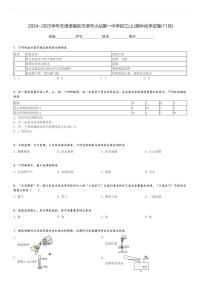 2024～2025学年天津津南区天津市小站第一中学初三(上)期中化学试卷(11月)[原题+解析]