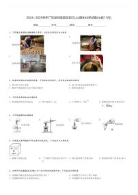 2024～2025学年广东深圳宝安区初三(上)期中化学试卷(七校11月)[原题+解析]