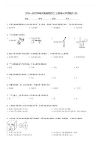 2024～2025学年河南南阳初三(上)期中化学试卷(11月)[原题+解析]