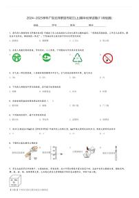 2024～2025学年广东云浮罗定市初三(上)期中化学试卷(11月检测)[原题+解析]