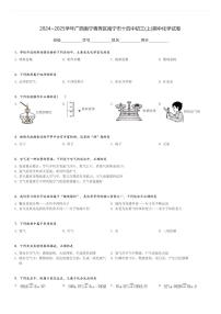 2024～2025学年广西南宁青秀区南宁市十四中初三(上)期中化学试卷[原题+解析]