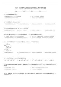 2024～2025学年山东威海乳山市初三(上)期中化学试卷[原题+解析]