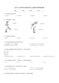 2024～2025学年江苏徐州初三(上)期中化学试卷(检测)[原题+解析]