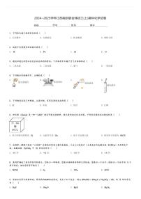 2024～2025学年江苏南京联合体初三(上)期中化学试卷[原题+解析]