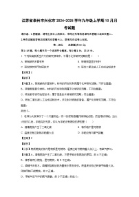 江苏省泰州市兴化市2024-2025学年九年级上学期10月月考化学试卷（解析版）
