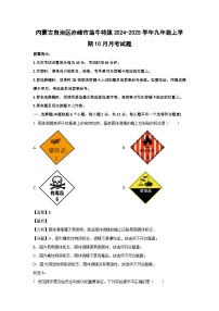 内蒙古自治区赤峰市翁牛特旗2024-2025学年九年级上学期10月月考化学试卷（解析版）