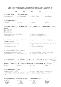 2024～2025学年安徽合肥蜀山区合肥市西苑中学初三(上)期中化学试卷(11月)[原题+解析]