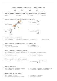 2024～2025学年湖北武汉江汉区初三(上)期中化学试卷(11月)[原题+解析]