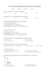 2024～2025学年山东烟台莱州市莱州市文峰中学初三(上)期中化学试卷[原题+解析]