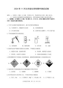 广东省中山市部分学校2024-2025学年九年级上学期期中考试化学试题