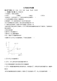 山东省淄博市周村区2024-2025学年九年级上学期中考试化学试题(无答案)