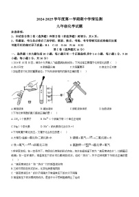 山东省济宁市鱼台县2024-2025学年九年级上学期期中学情监测化学试卷(无答案)