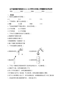 辽宁省抚顺市望花区2024-2025学年九年级上学期期中化学试卷(含答案)