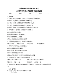 山东省烟台市经济开发区2024-2025学年九年级上学期期中考试化学试卷(含答案)