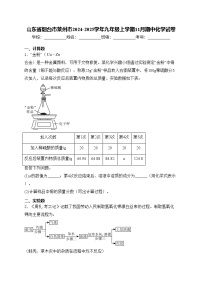 山东省烟台市莱州市2024-2025学年九年级上学期11月期中化学试卷(含答案)