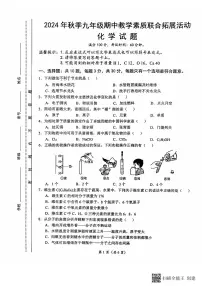 福建省泉州市泉港区2024-2025学年九年级上学期11月期中考试化学试题