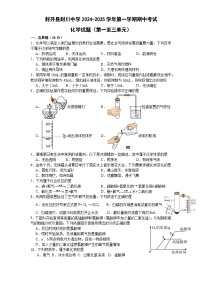 广东省肇庆市封开县封川中学2024-2025学年九年级上学期11月期中考试化学试题