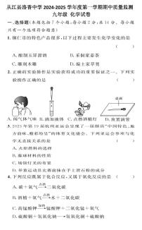 贵州省黔东南州从江县洛香中学2024--2025学年九年级上学期期中质量监测化学试卷