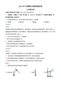 湖南省岳阳市2024-2025学年九年级上学期11月期中考试化学试题（解析版）