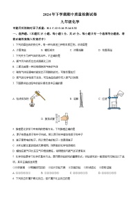 解析：湖南省岳阳市2024-2025学年九年级上学期11月期中考试化学试题（原卷版）