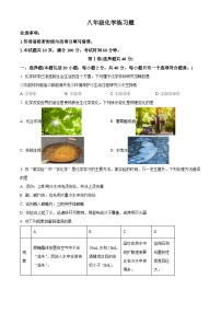 解析：山东省泰安市岱岳区2024-2025学年八年级上学期11月期中化学试题（原卷版）