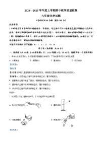 解析：山东省临沂市莒南县2024-2025学年九年级上学期11月期中化学试题（解析版）