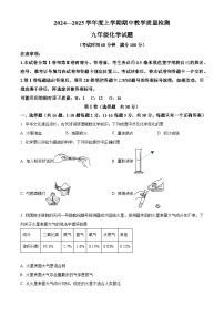 解析：山东省临沂市莒南县2024-2025学年九年级上学期11月期中化学试题（原卷版）