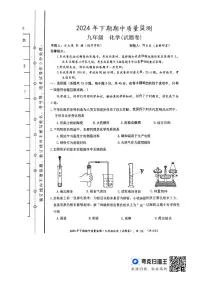 湖南省永州市新田县2024-2025学年九年级上学期11月期中考试化学试题