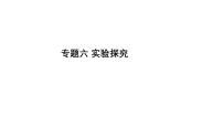 2025年中考化学二轮专题复习课件六：实验探究（含答案）