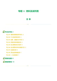 2025年中考化学一轮复习练与测专题11 燃料及其利用（练习）（2份，原卷版+解析版）