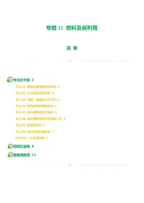 2025年中考化学一轮复习练与测专题11 燃料及其利用（练习）（2份，原卷版+解析版）