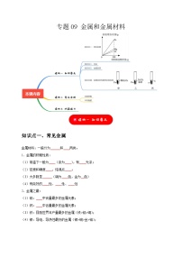 2025年中考化学一轮复习考点过关练习专题09 金属和金属材料（2份，原卷版+解析版）