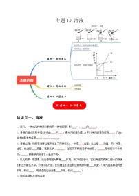 2025年中考化学一轮复习考点过关练习专题10 溶液（2份，原卷版+解析版）