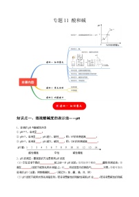 2025年中考化学一轮复习考点过关练习专题11 酸和碱（2份，原卷版+解析版）