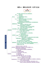 中考化学一轮复习知识梳理讲义专题10 燃料及其应用  化学与生活（2份，原卷版+解析版）