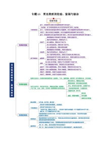 中考化学一轮复习知识梳理讲义专题13常见物质的检验 鉴别与除杂（2份，原卷版+解析版）