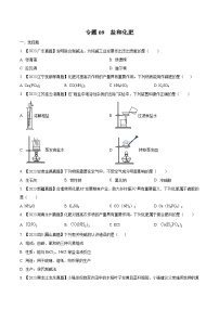 2025年中考化学真题分项汇编专题09 盐和化肥（2份，原卷版+解析版）