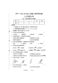 河南省驻马店市泌阳县2024-2025学年九年级上学期11月期中考试化学试题